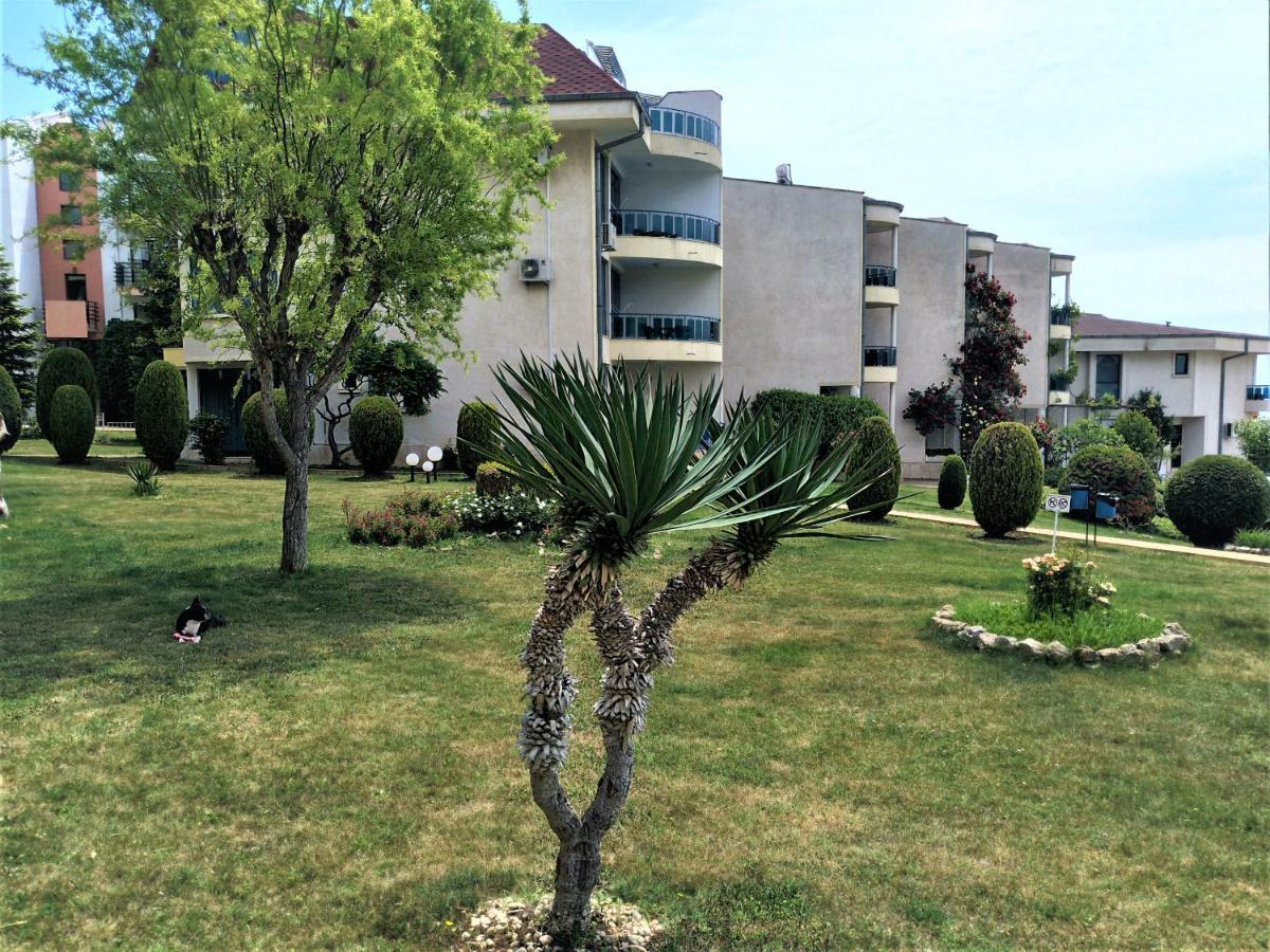 Baratero Vlas Marina Apartment 圣弗拉斯 外观 照片